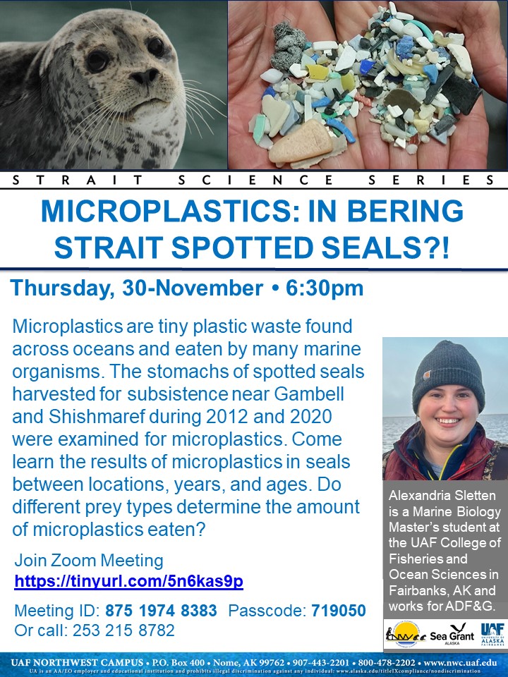 Microplastics in Bering Strait Spotted Seals?! Flyer