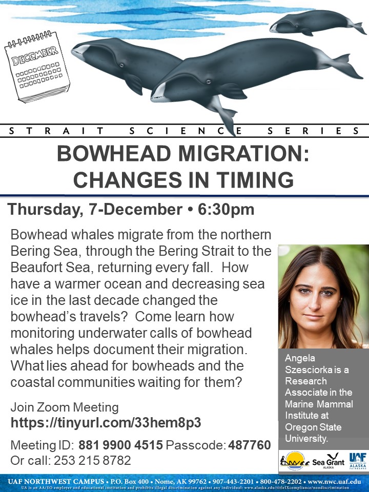 Bowhead Migration: Changes in Timing Flyer