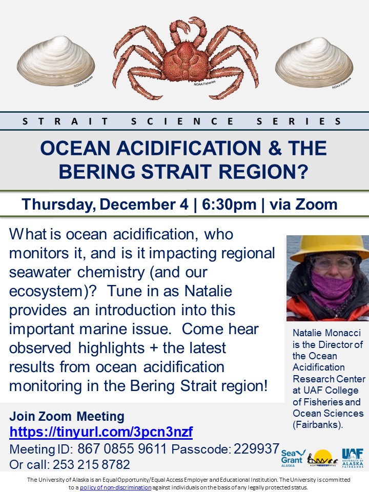Ocean Acidification & the Bering Strait Region Flyer