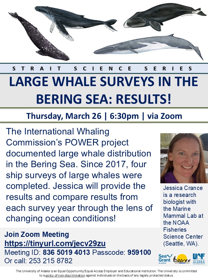 Large Whale Surveys in the Bering Sea: Results! Flyer