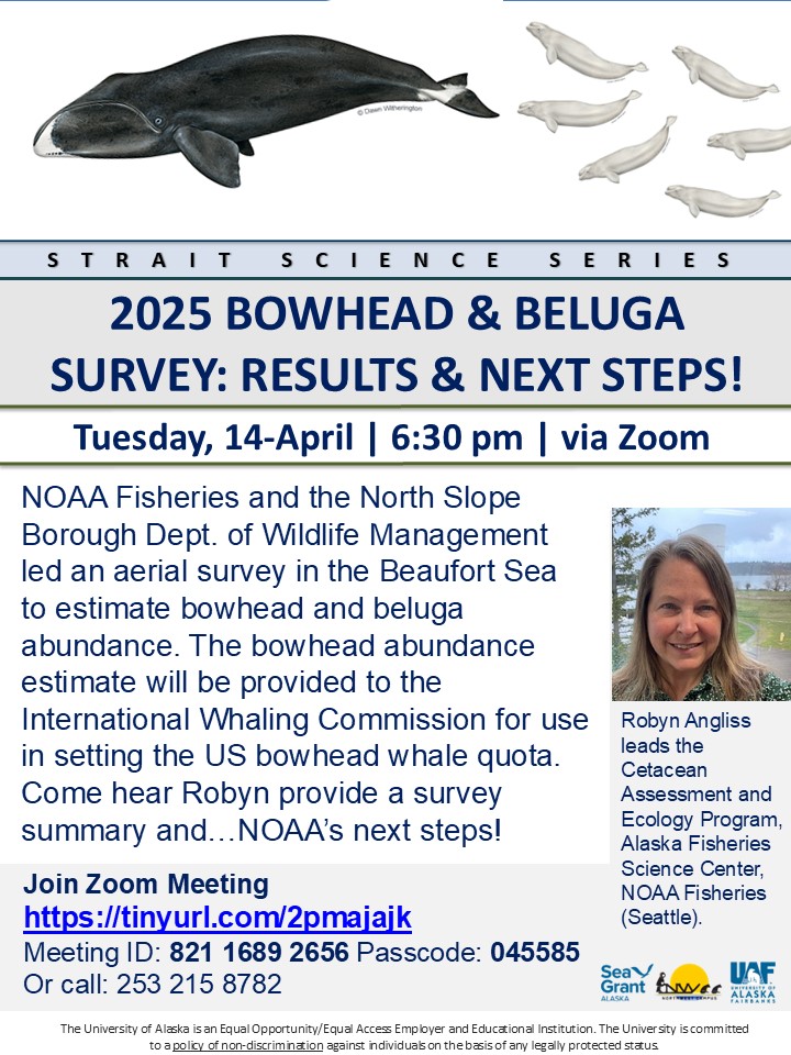 2025 Bowhead & Beluga Survey: Results & Next Steps Flyer