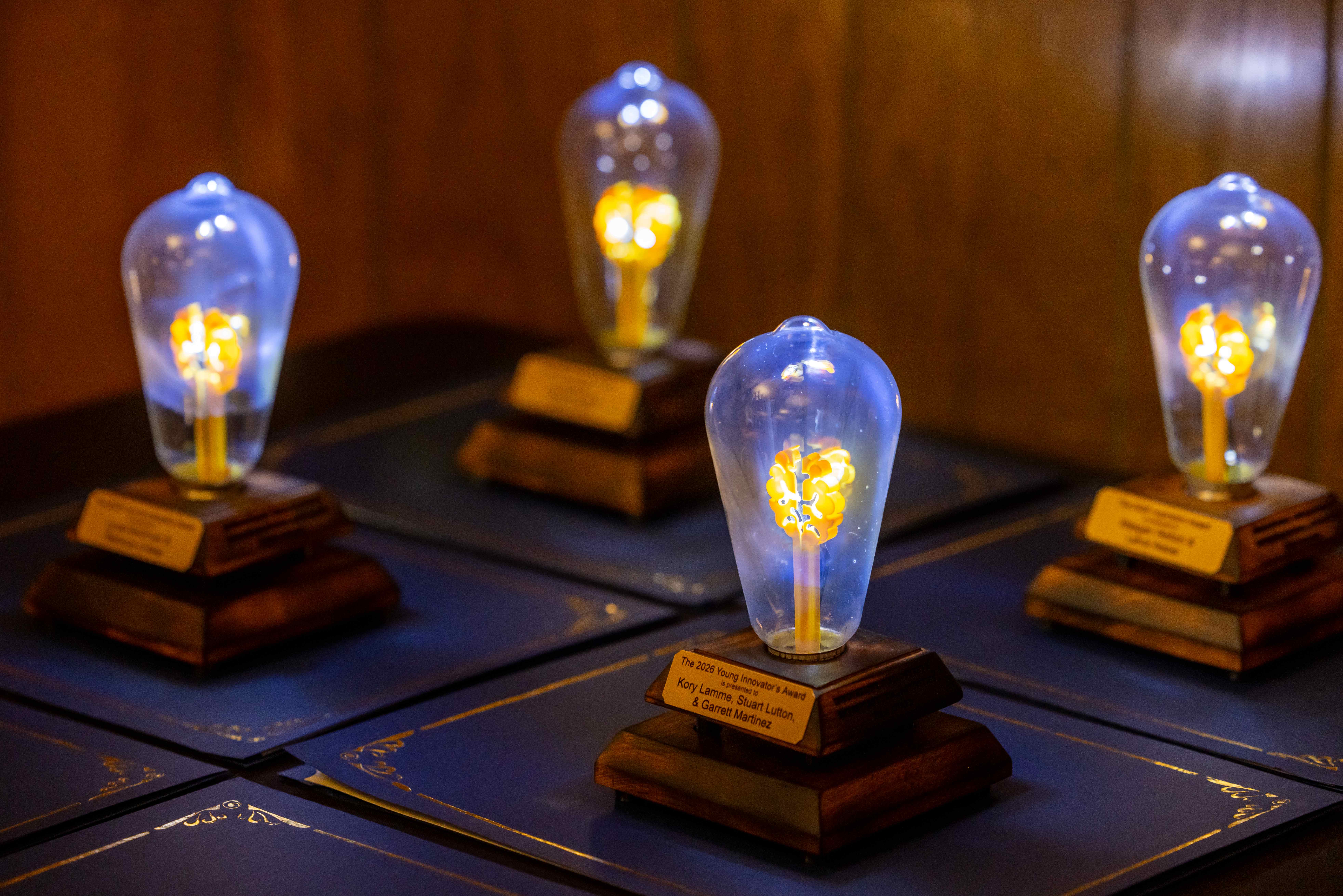 Custom IDEA Award trophies