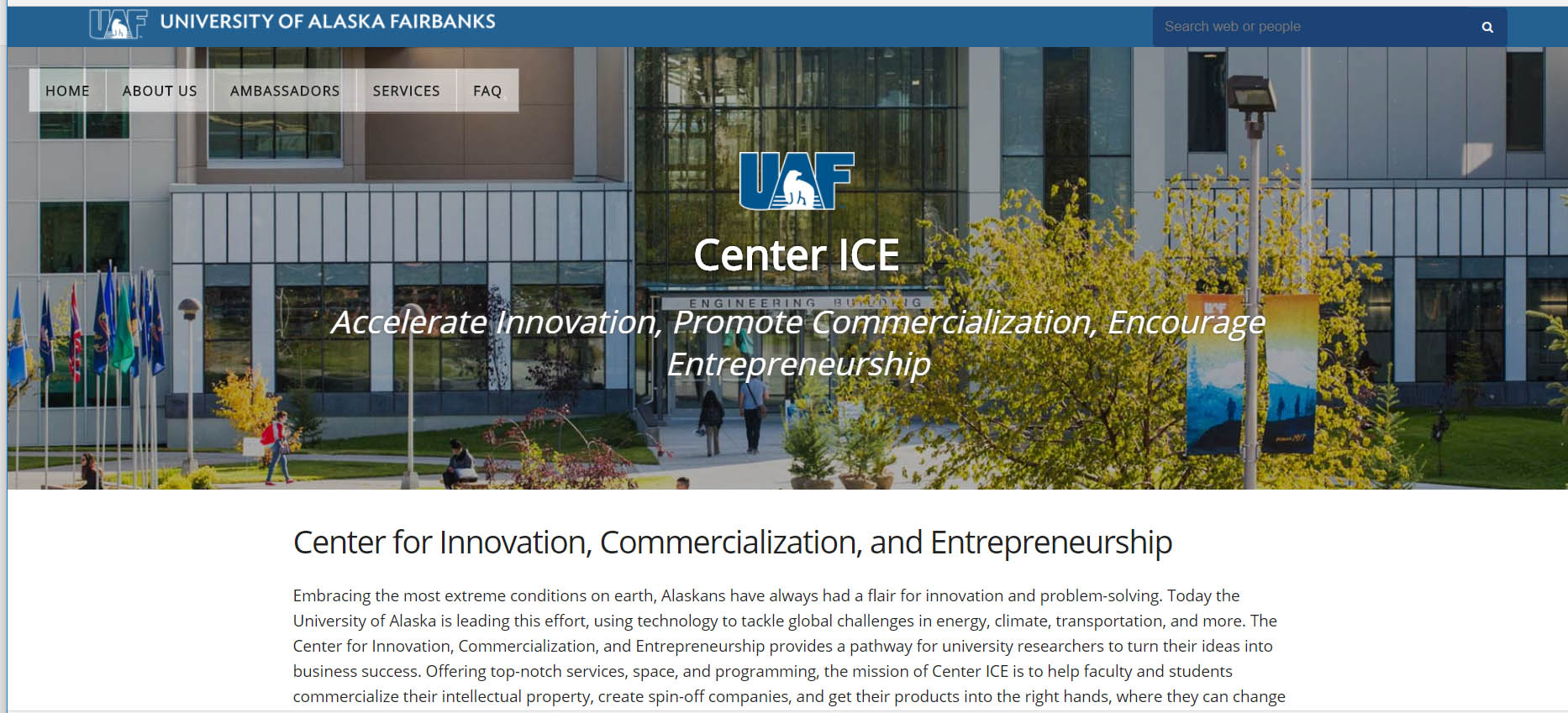Center ICE website image