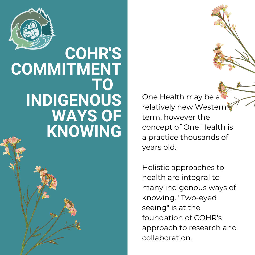 COHR commitment to indigenous ways of knowing graphic