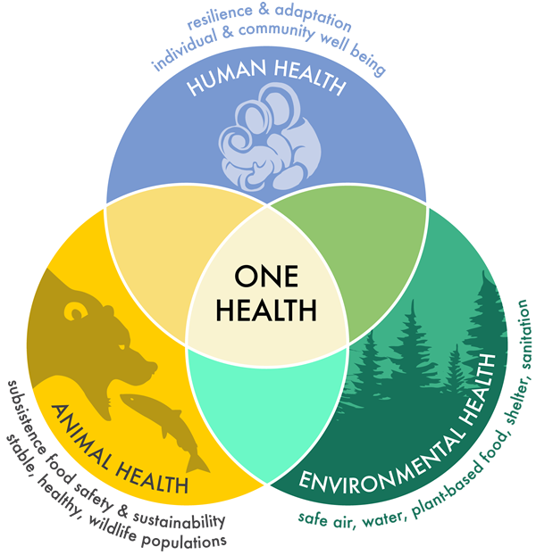 One Health ven diagram illustrating the interdependence of human, animal and environmental health