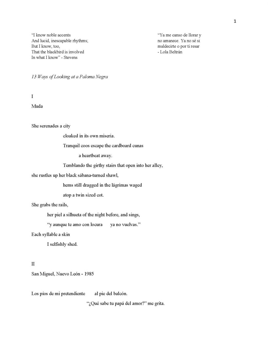 13 Ways of Looking at Paloma Negra, page 1