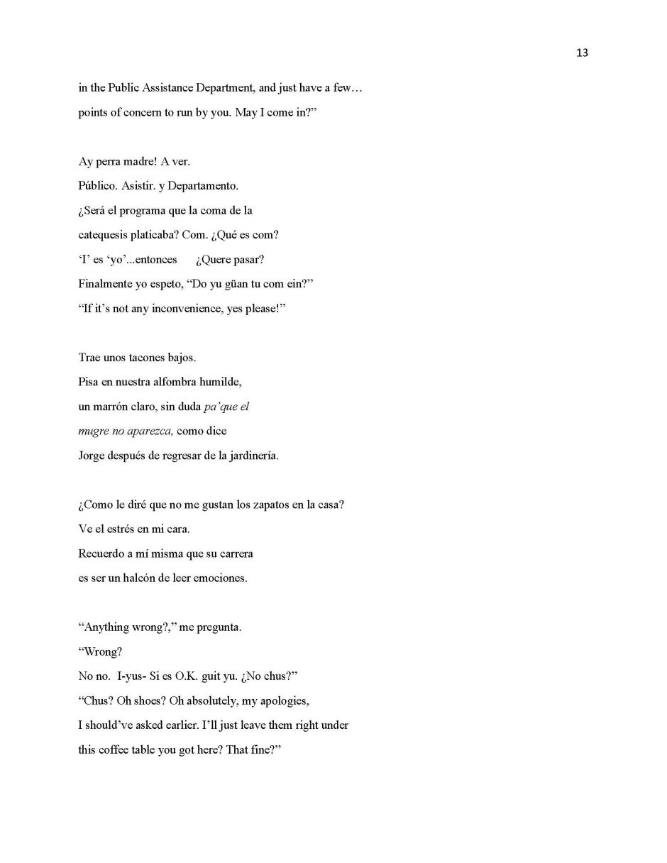 13 Ways of Looking at Paloma Negra, page 13