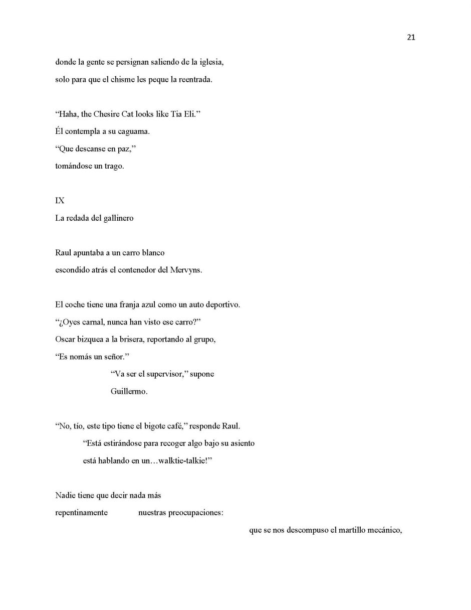 13 Ways of Looking at Paloma Negra, page 21