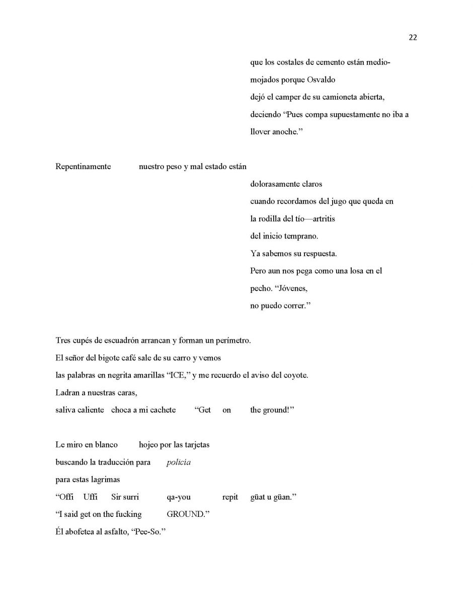 13 Ways of Looking at Paloma Negra, page 22