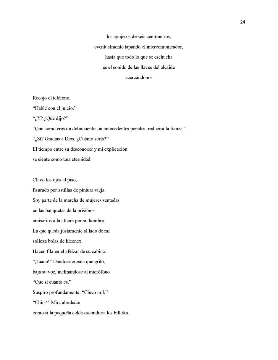 13 Ways of Looking at Paloma Negra, page 24