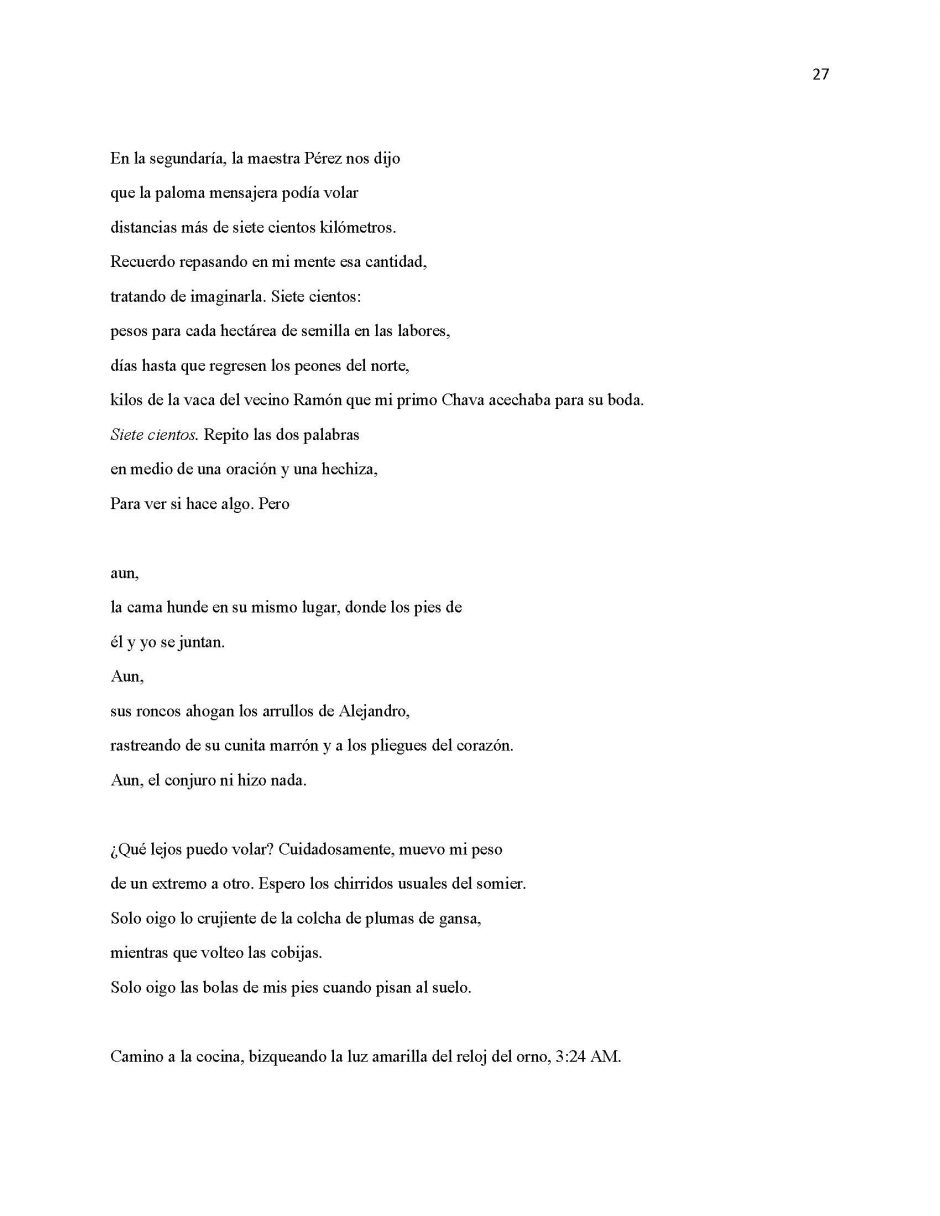 13 Ways of Looking at Paloma Negra, page 27