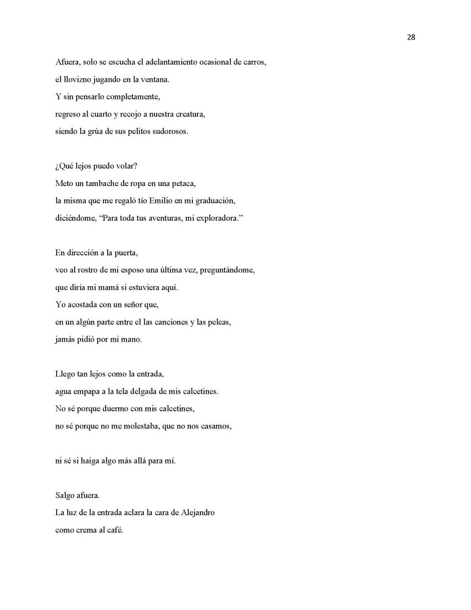 13 Ways of Looking at Paloma Negra, page 28