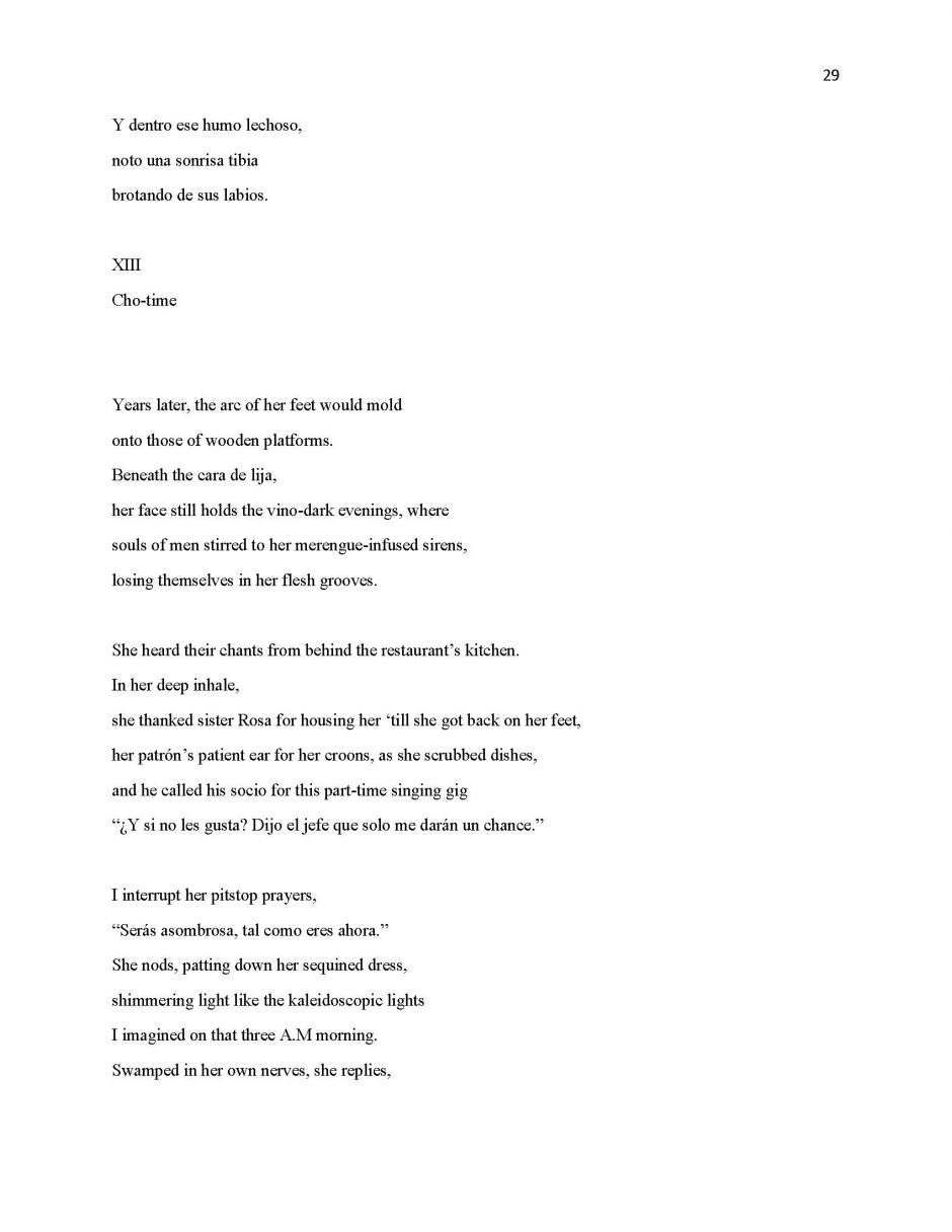 13 Ways of Looking at Paloma Negra, page 29