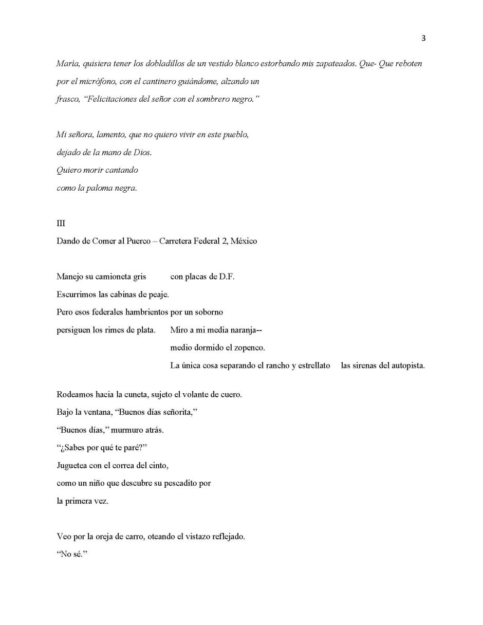 13 Ways of Looking at Paloma Negra, page 3