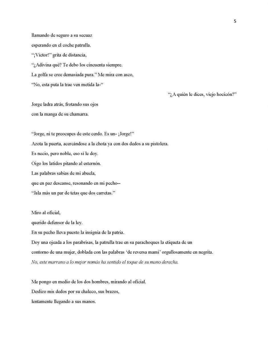 13 Ways of Looking at Paloma Negra, page 5