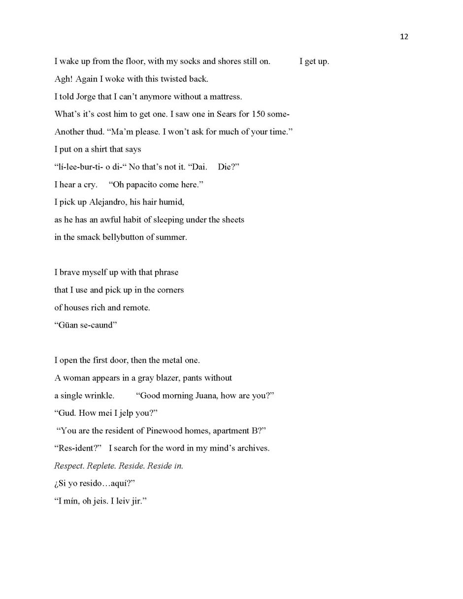 page 12, translation of 13 Ways of Looking at a Paloma Negra