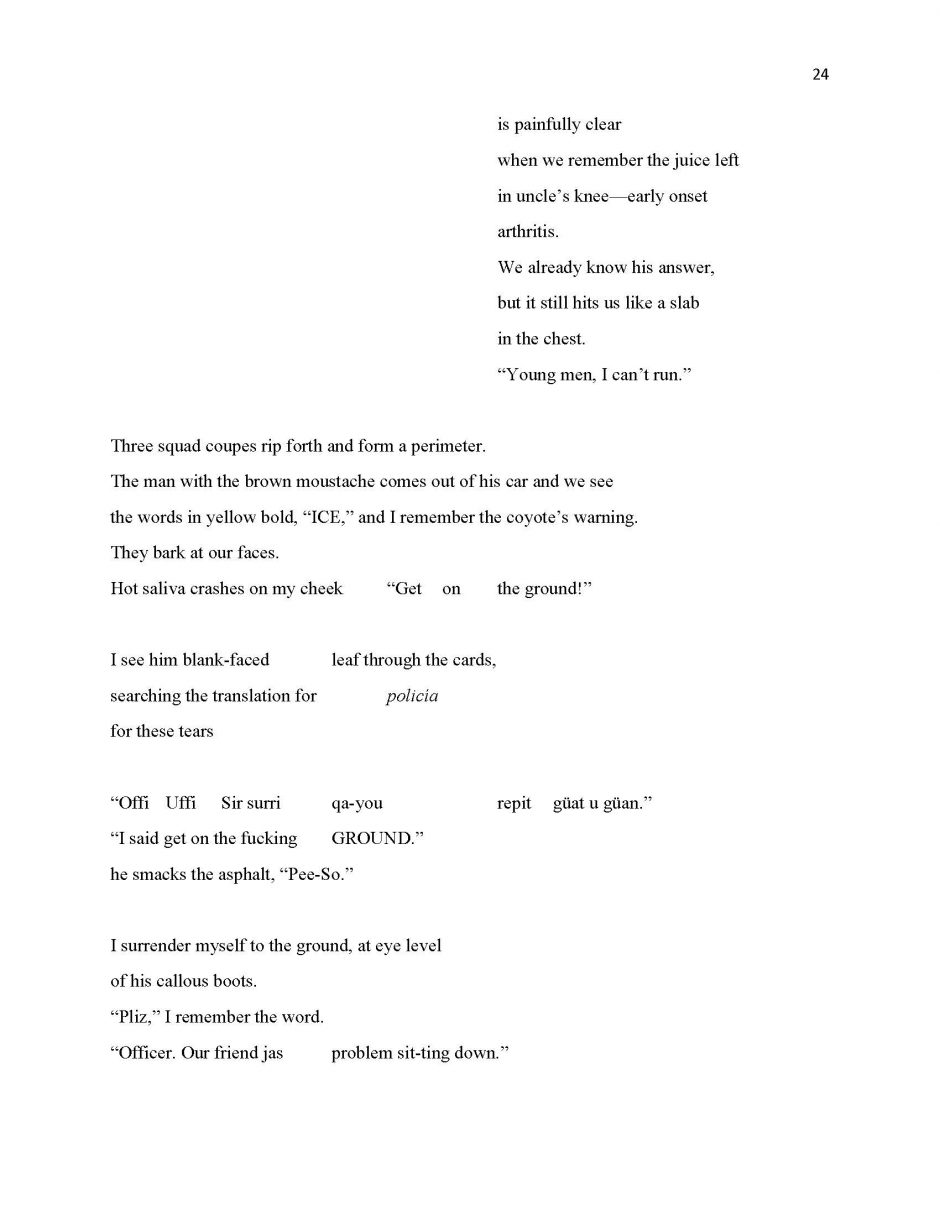 page 24, translation of 13 Ways of Looking at a Paloma Negra