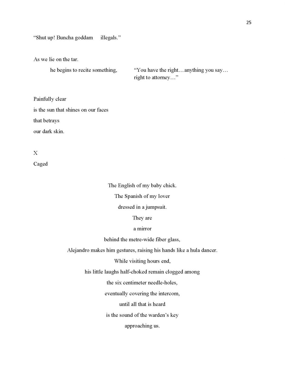 page 25, translation of 13 Ways of Looking at a Paloma Negra