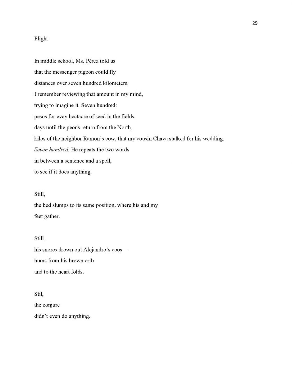 page 29, translation of 13 Ways of Looking at a Paloma Negra