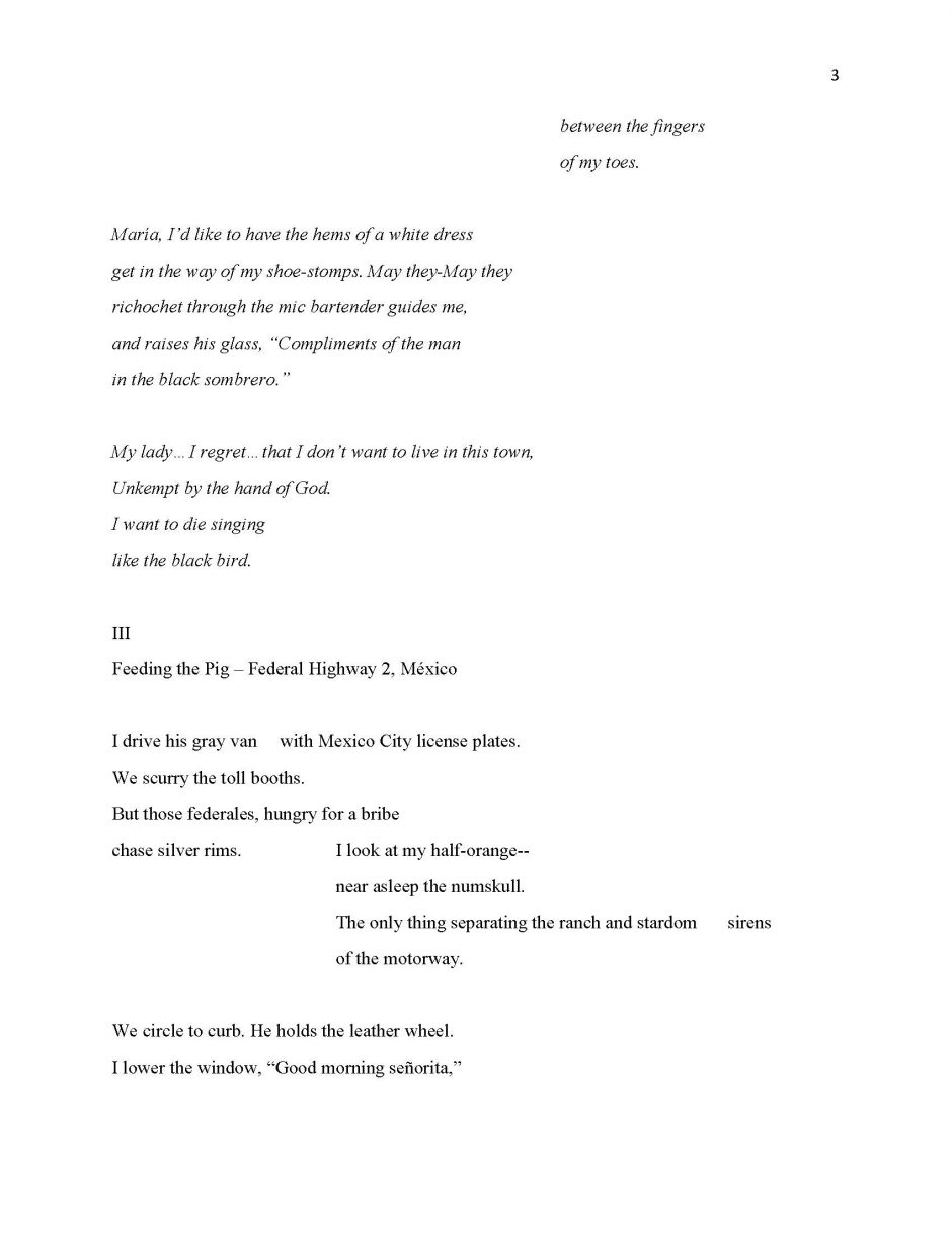 page 3, translation of 13 Ways of Looking at a Paloma Negra