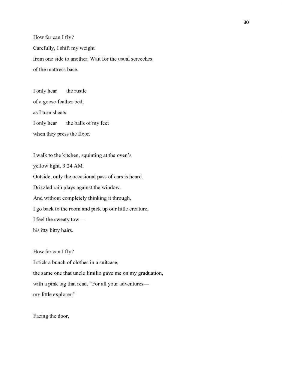 page 30, translation of 13 Ways of Looking at a Paloma Negra