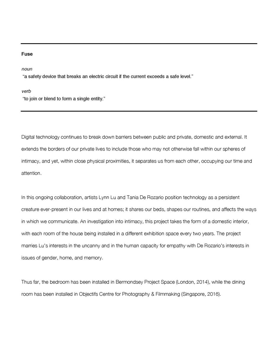 Image with definition of fuse and discussion of technology and boundaries