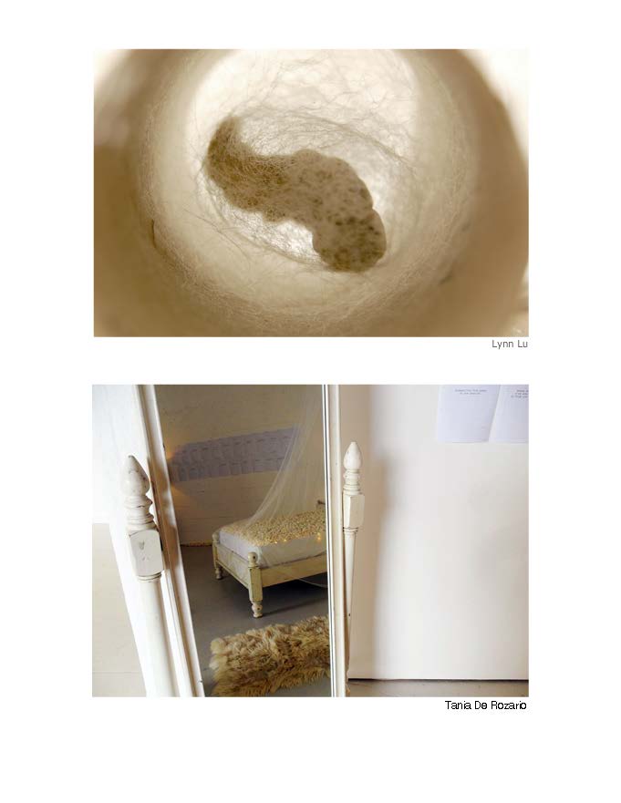 Close up of a single cocoon and the bed as viewed through a mirror