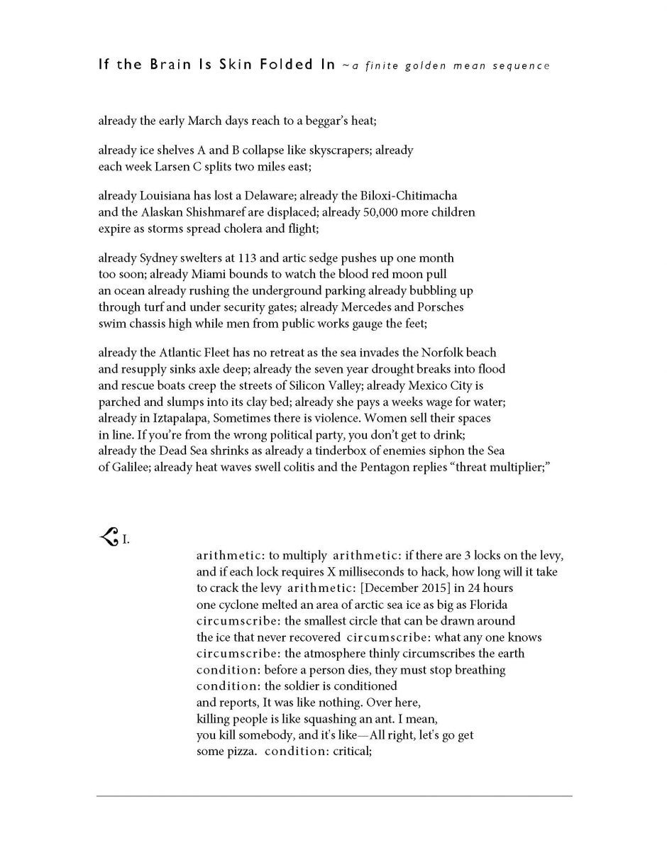 page 1 of If the Brain is Skin Folded In