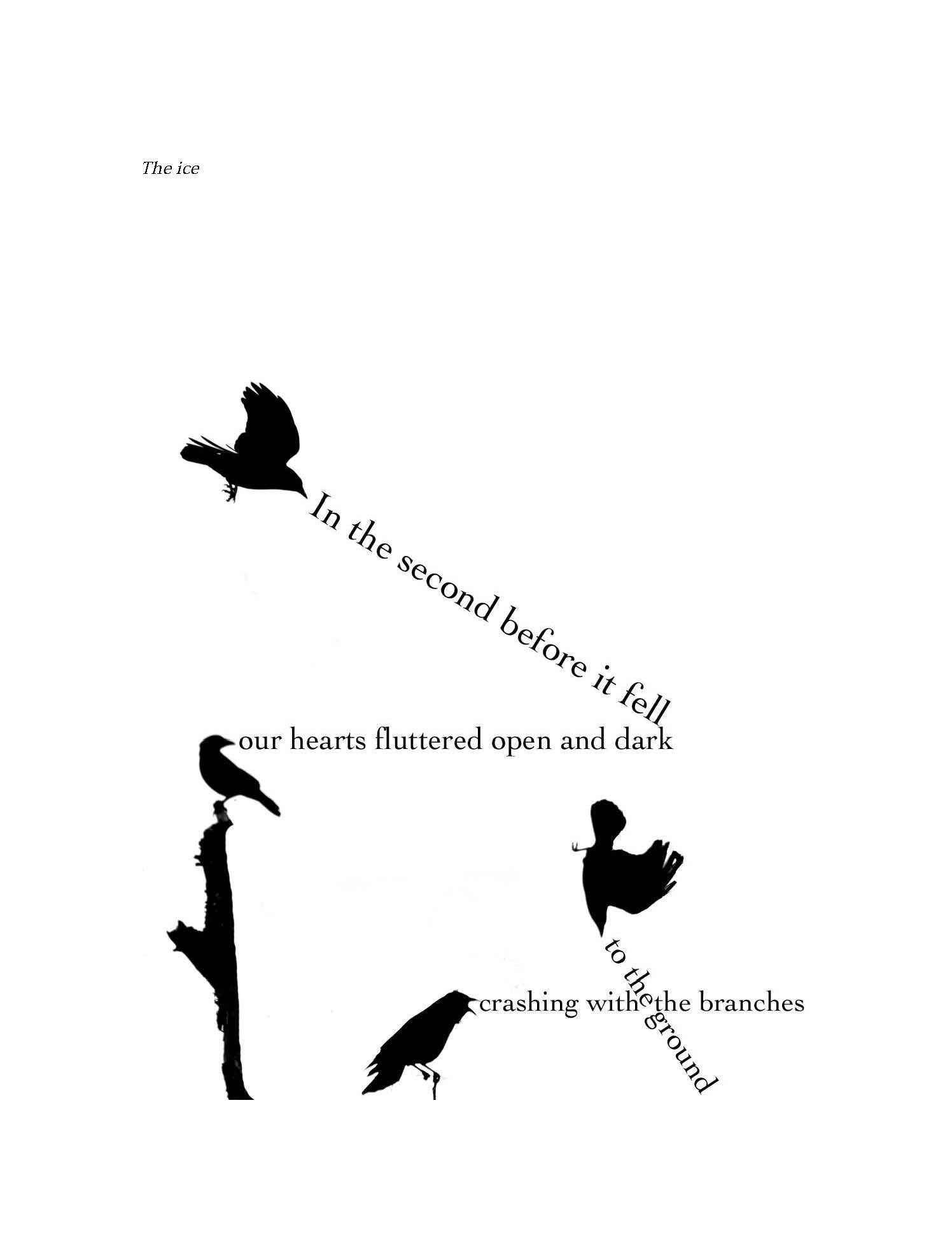 Four birds in various sttes of flight with lines of petry between them