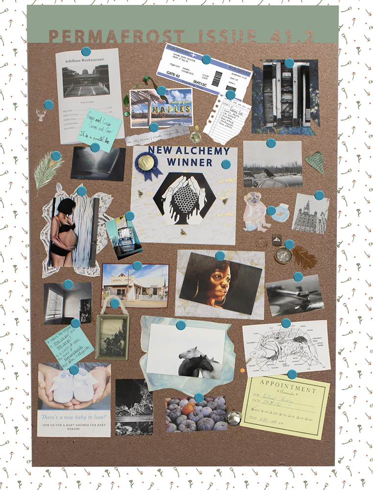 Bulletin board with various clips and images from issue content