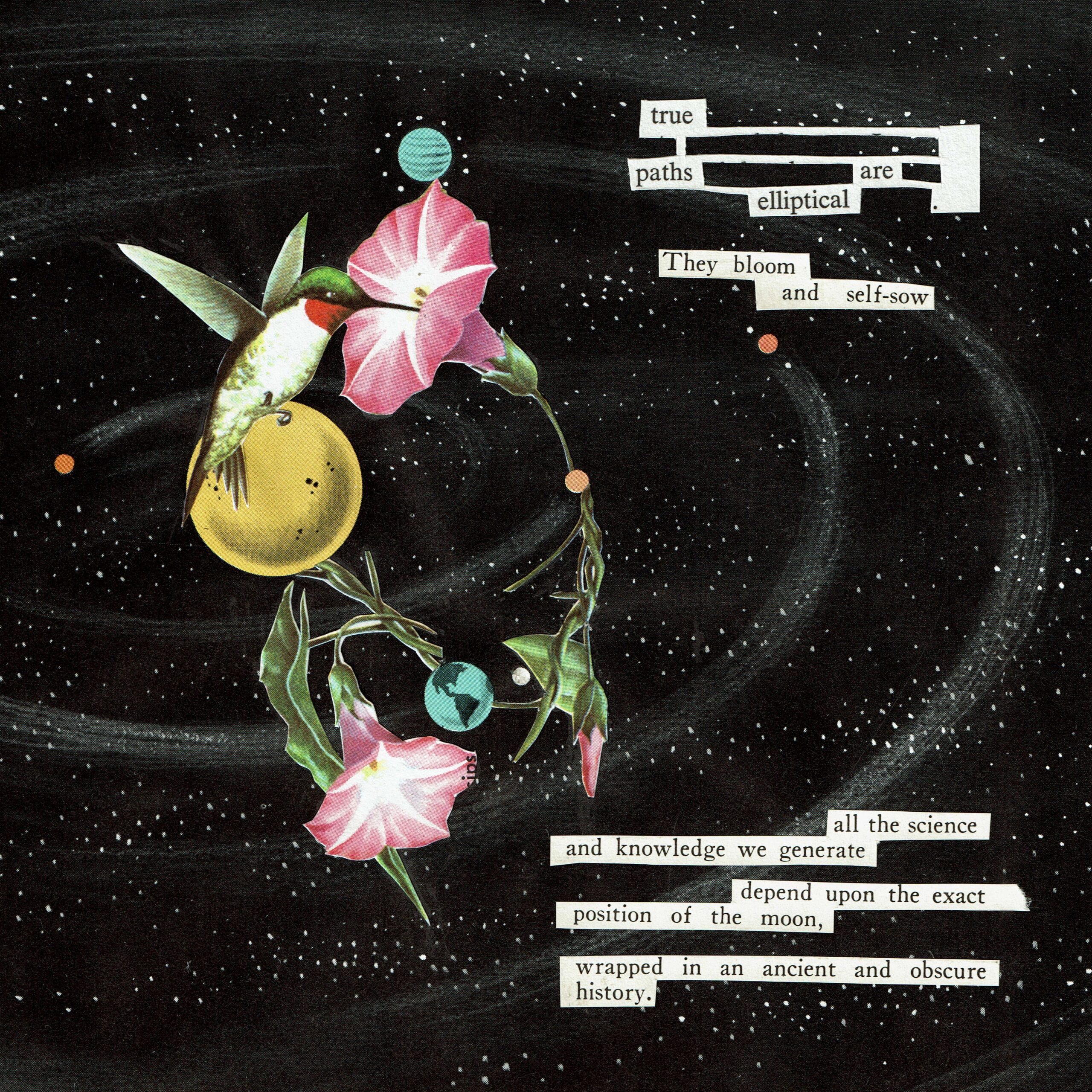 collaged image of a hummingbird and flower over a dark background