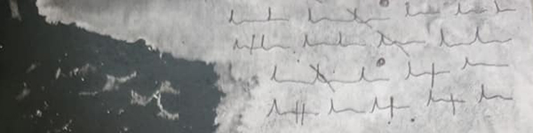 A slice of the image Catalog of Sorrows by Nadia Arioli