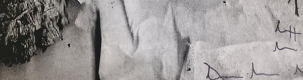 Slice from the image Catalog of Sorrows by Nadia Arioli