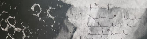 Slice of the image Catalog of Sorrows by Nadia Arioli