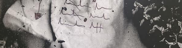 Slice of the image Catalog of Sorrows by Nadia Arioli