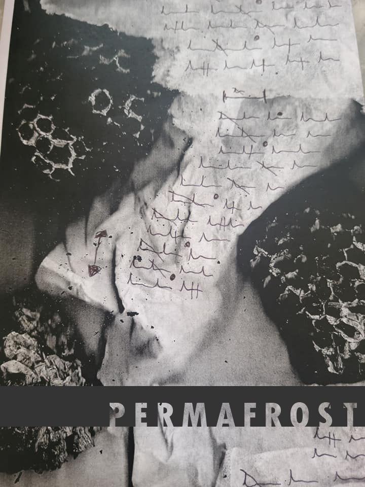 Permafrost Issue 43.2 Cover Art based on the image Catalog of Sorrows by Nadia Arioli