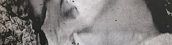 Slice from the image Catalog of Sorrows by Nadia Arioli