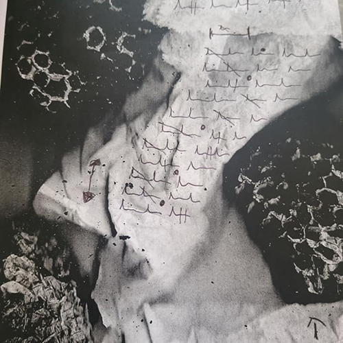 Catalog of Sorrows by Nadia Arioli