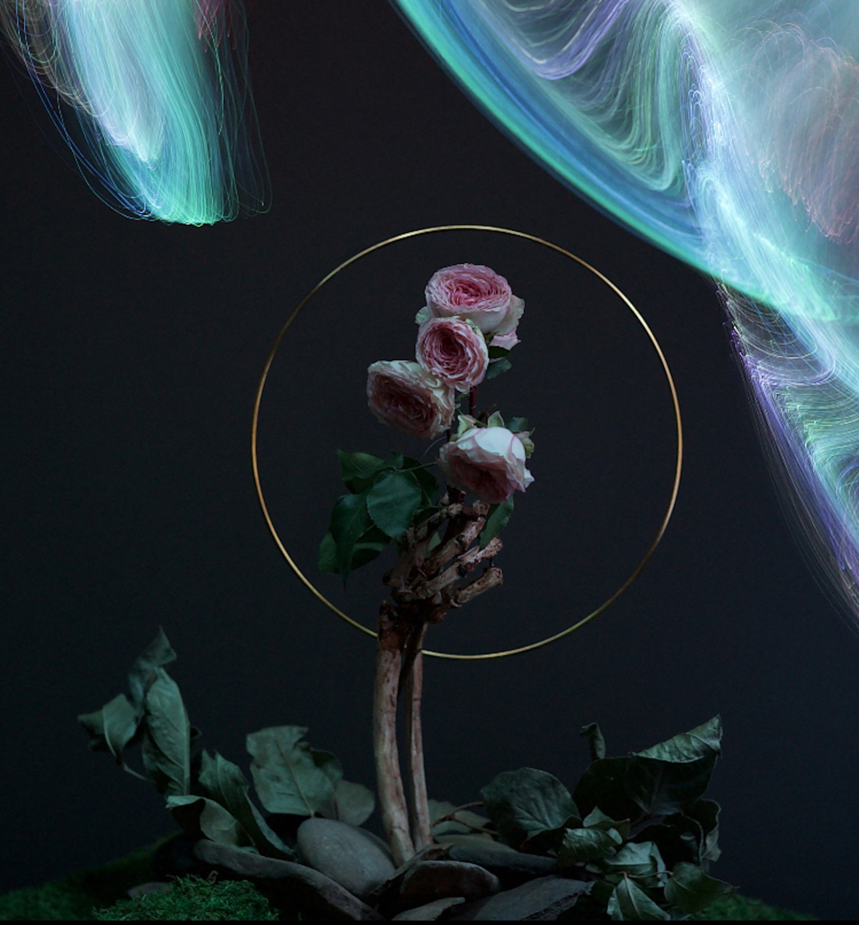 Vanitas Redux Photograph of a skeleton hand holding roses by Erica Catherine Matthews. Image courtesy of the artist