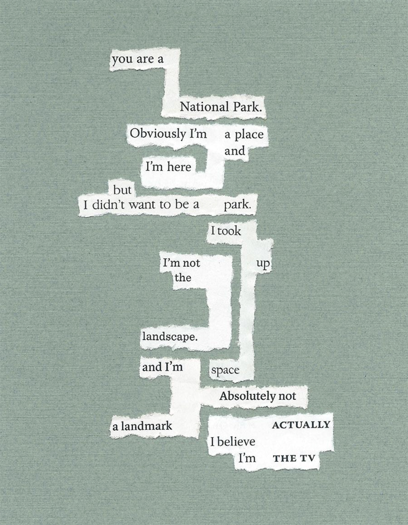 Cut-out collaged word image making up the poem You Are a National Park, courtesy of J I Kleinberg