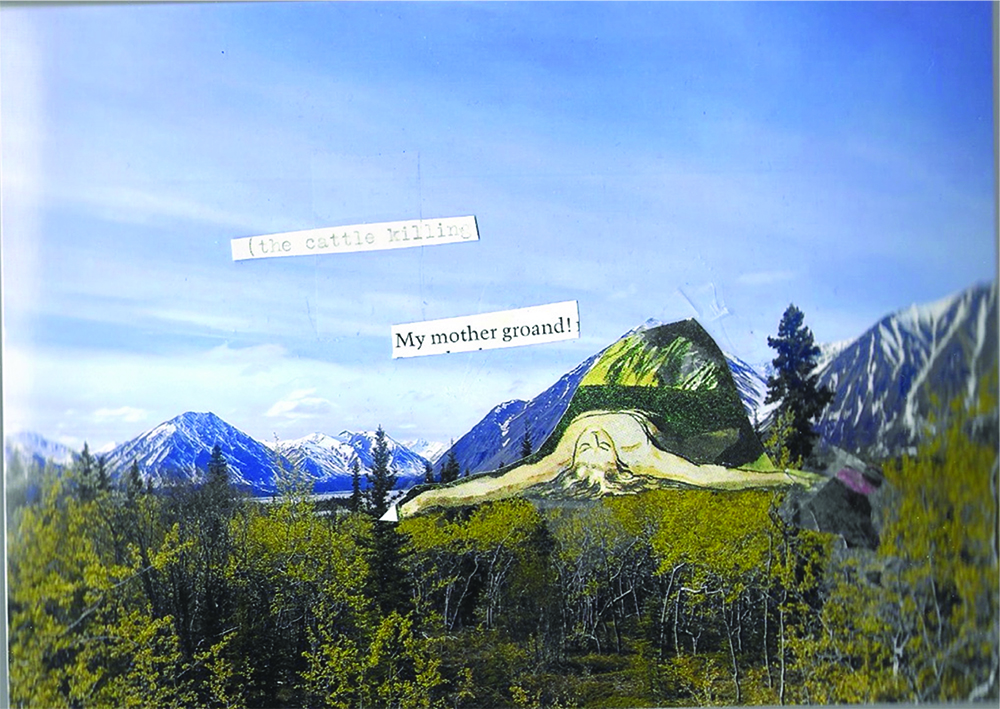 The cattle killing, collage from a photo by Margaret Saigh, taken just off the Yellowhead Highway in British Columbia