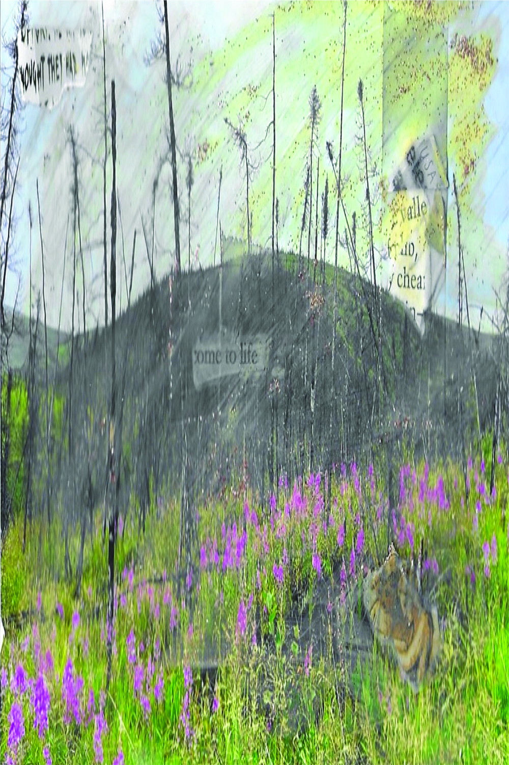 Come to Life, collage from a photo by Margaret Saigh, taken on the trail off Chena Hot Springs Road, Fairbanks, Alaska