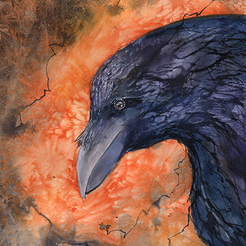 Permafrost 47.2 Drawing of a black raven on a red, textured background