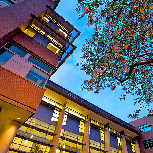 Seattle University School of Law. Photo credit: Seattle University