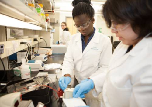 Olalade Olawale works with fellow Chicago student Isabell Raymundo with fish samples taken in Antarctica.