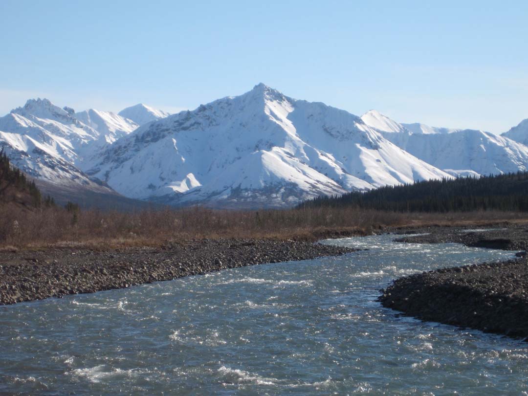 Denali Park, summer 2007. Photo courtesy of Sheppard