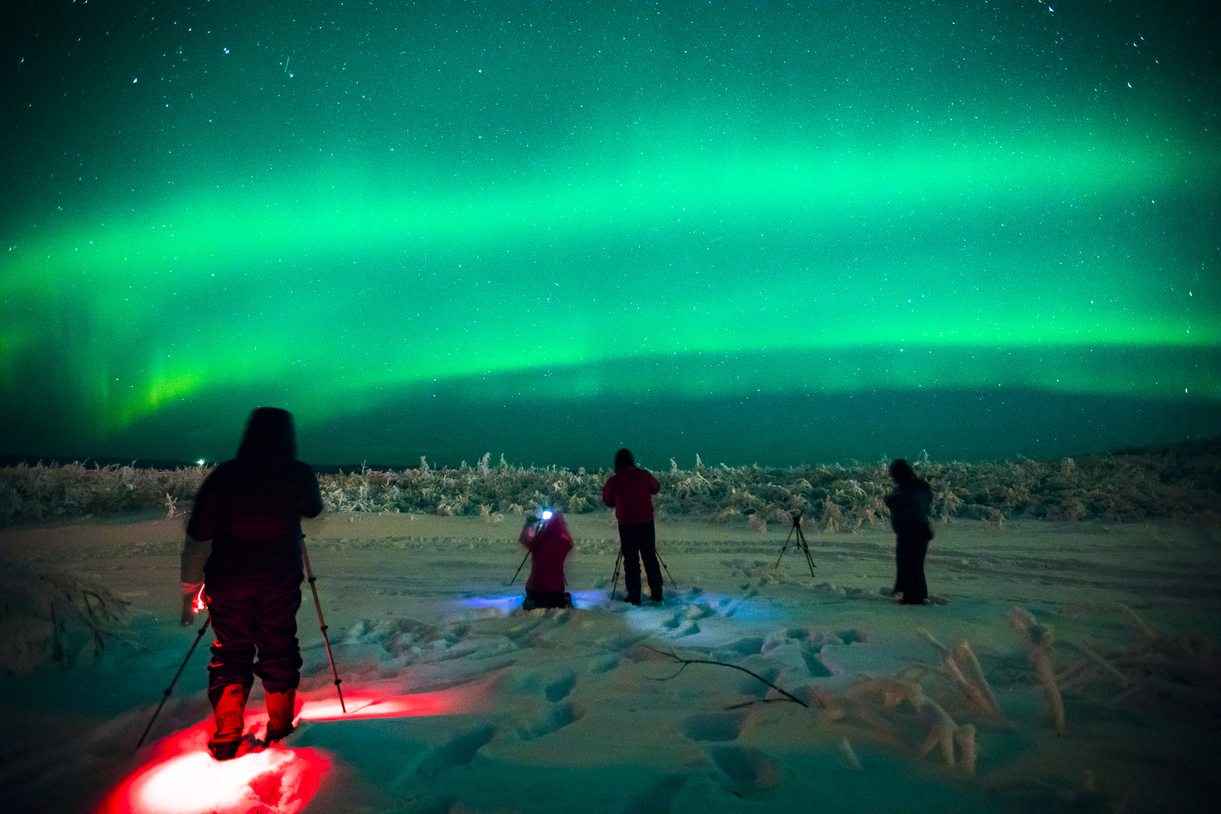 aurora