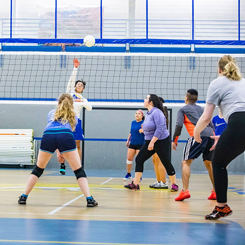 Intramural volleyball