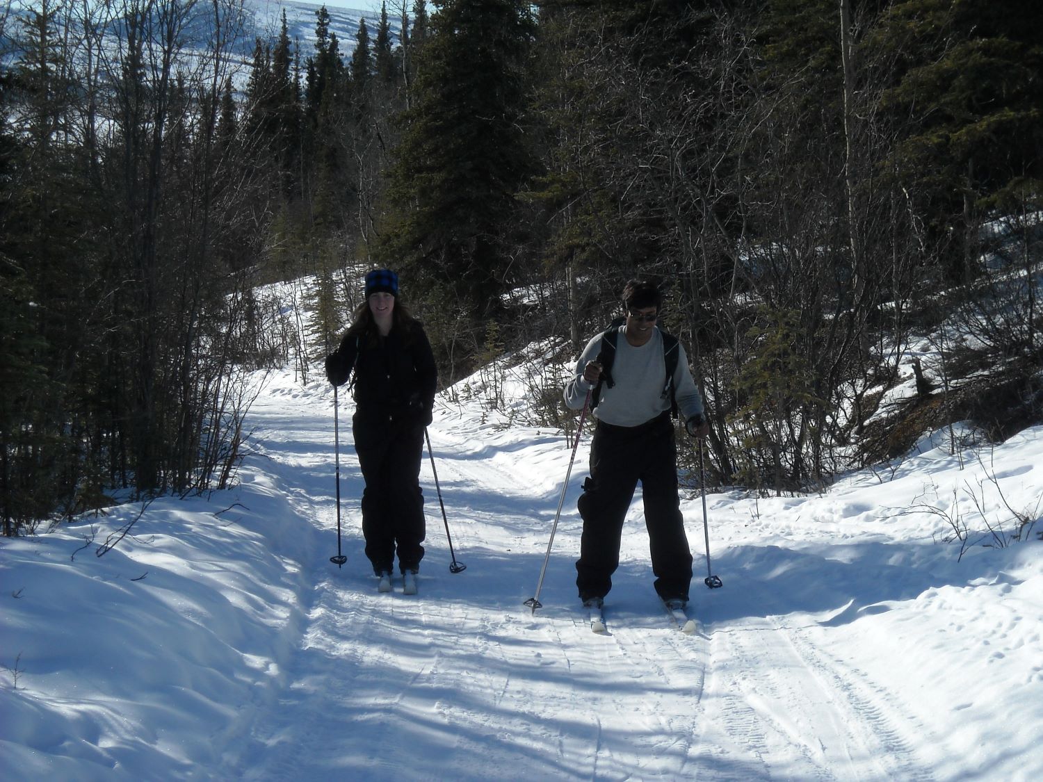 Skiers on the trail
