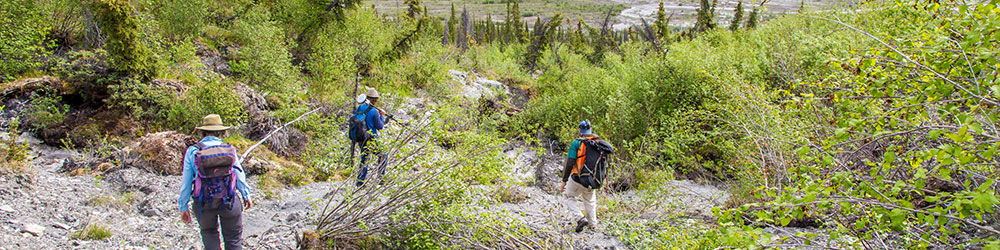 Associate professor Margaret Darrow, left, and state geologists Ronald Daanen and Trent Hubbard take GPS readings from a number of pre-installed stations as they hike down one of a series of frozen debris lobes which have appeared along hillsides in the Dietrich River valley in the southern Brooks Range, which could threaten the highway and the nearby trans-Alaska pipeline. UAF photo by Todd Paris